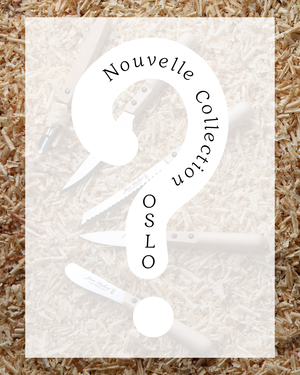 Jean_Dubost_OSLO_nouvelle_collection_NSept_2026